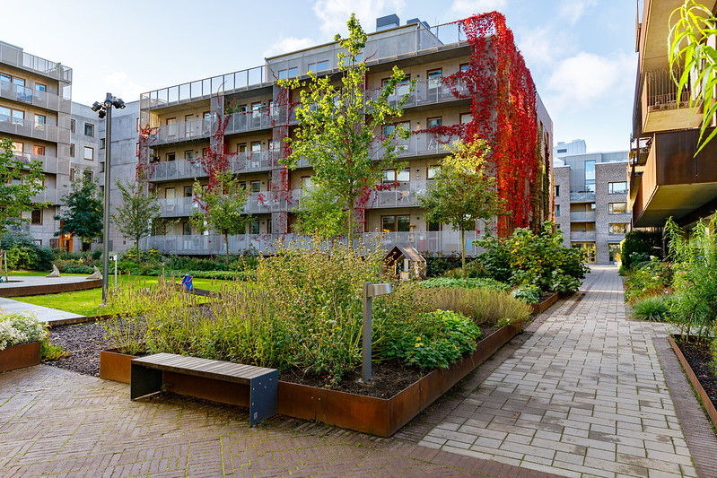 Grönskande innergård i Norra Djurgårdsstaden.