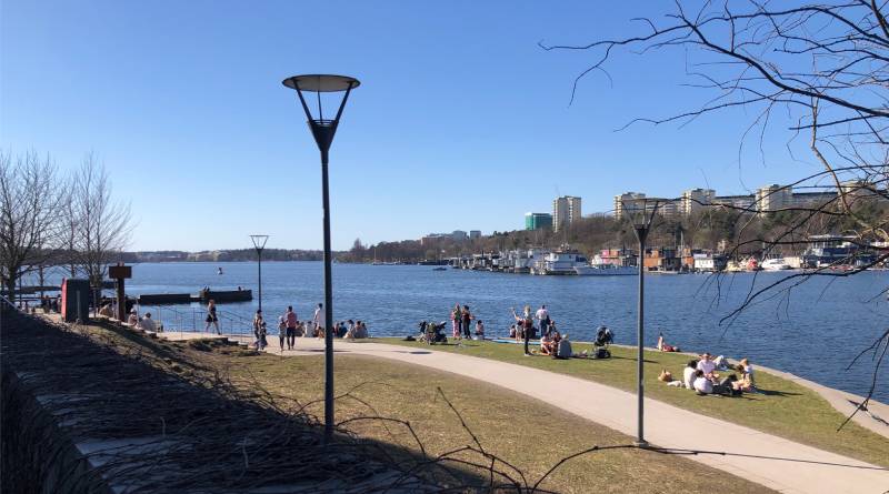 En utflykt till Hornsberg strand ger dig vattenliv mitt i stan