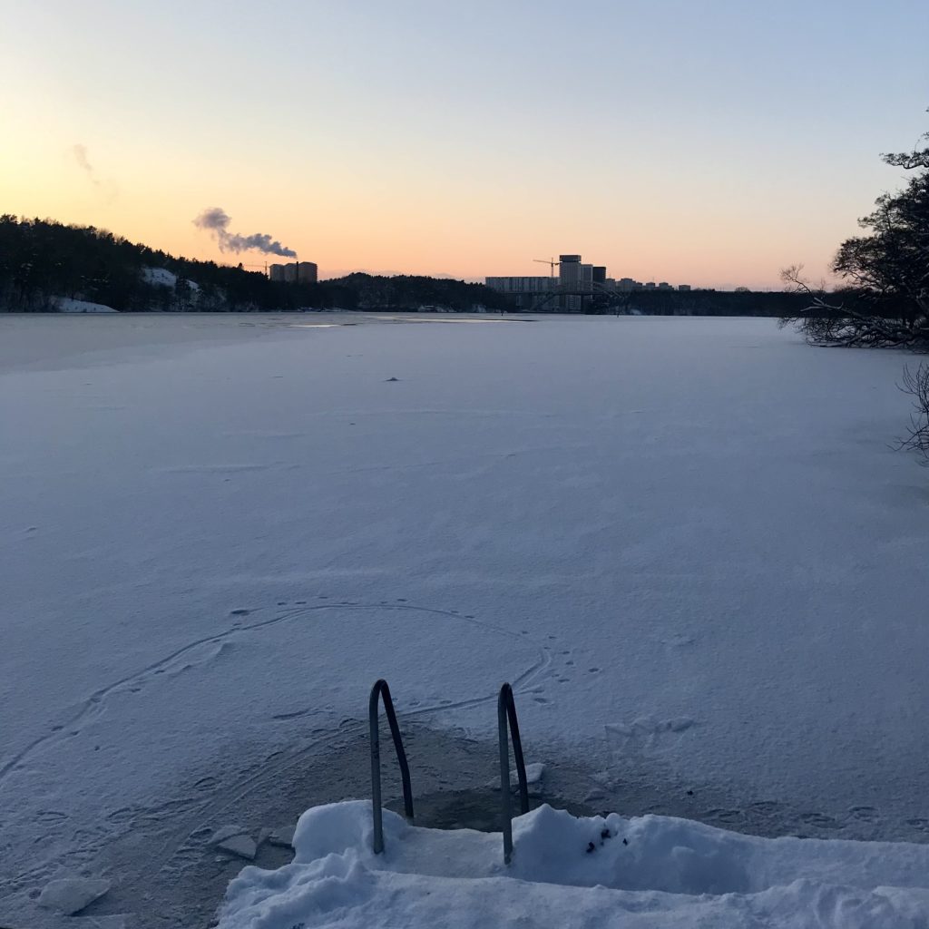 Is och snö på Årstaviken, i förgrunden en insnöad brygga med badstege.