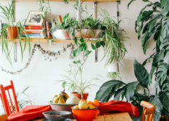 ett rum med gröna växter